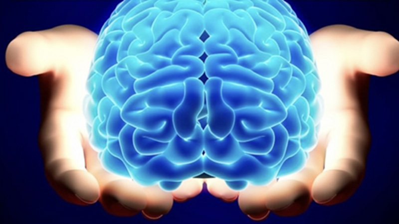 Ilustracja 3D mózgu trzymanego w dwóch rękach
